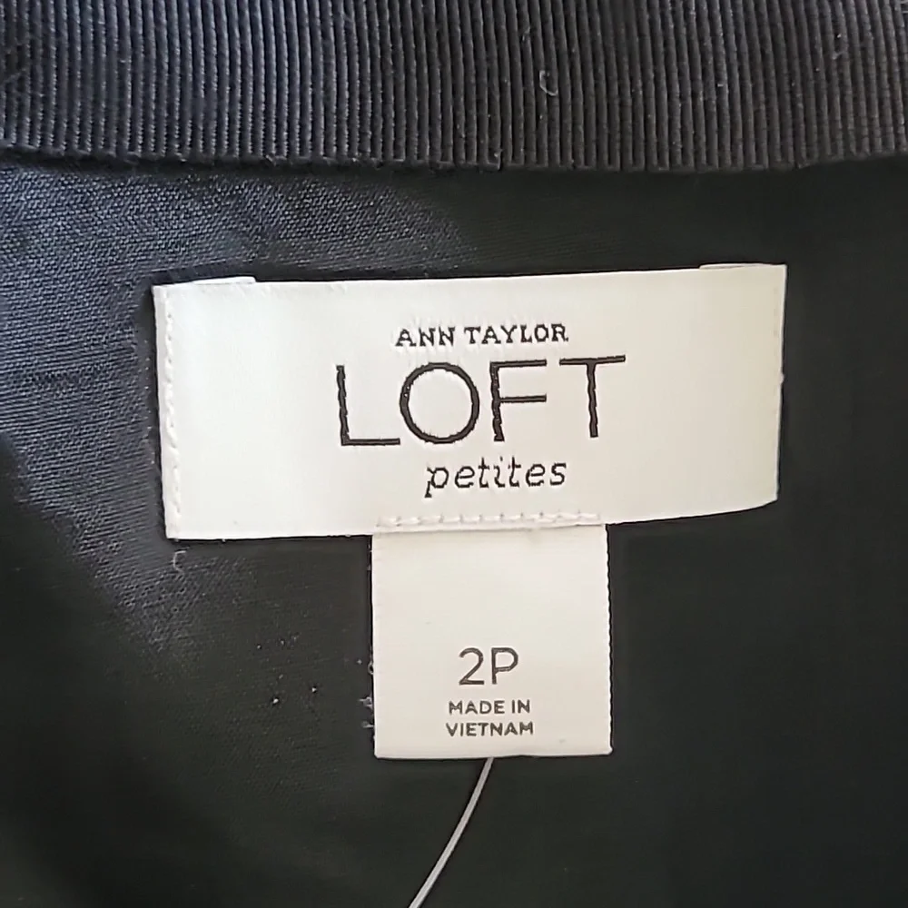 Ann Taylor Skirt - Picture 2 of 16